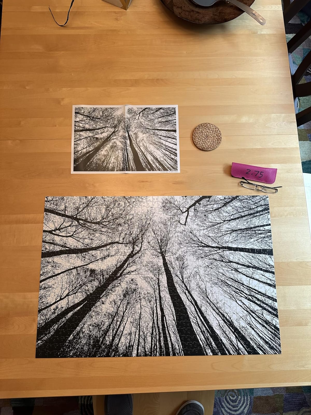 Bgraamiens Puzzle-Forest in Black and White-1000 Pieces Creative Black and White Nature Scenery Hard Puzzle Blue Board Jigsaw Puzzle customer photo 1