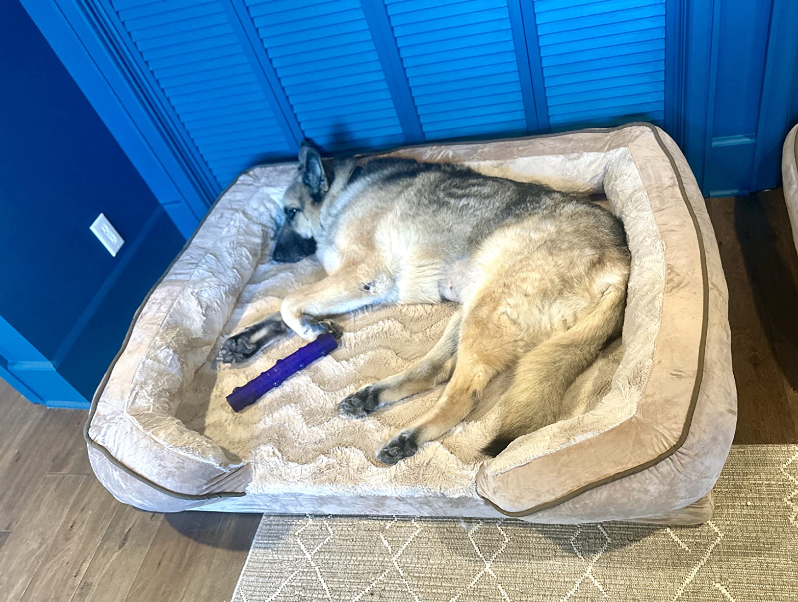 Furhaven Cooling Gel Dog Bed for Large/Medium Dogs w/ Removable Bolsters & Washable Cover, For Dogs Up to 55 lbs - Plush & Velvet Waves Perfect Comfort Sofa - Brownstone, Large customer photo 1