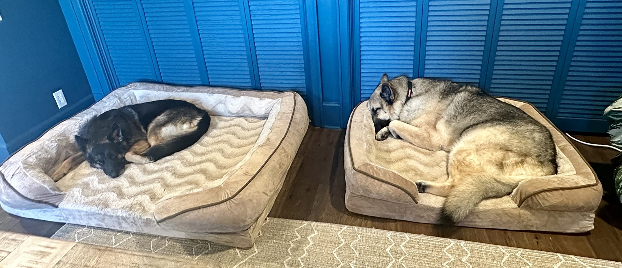 Furhaven Cooling Gel Dog Bed for Large/Medium Dogs w/ Removable Bolsters & Washable Cover, For Dogs Up to 55 lbs - Plush & Velvet Waves Perfect Comfort Sofa - Brownstone, Large customer photo 2