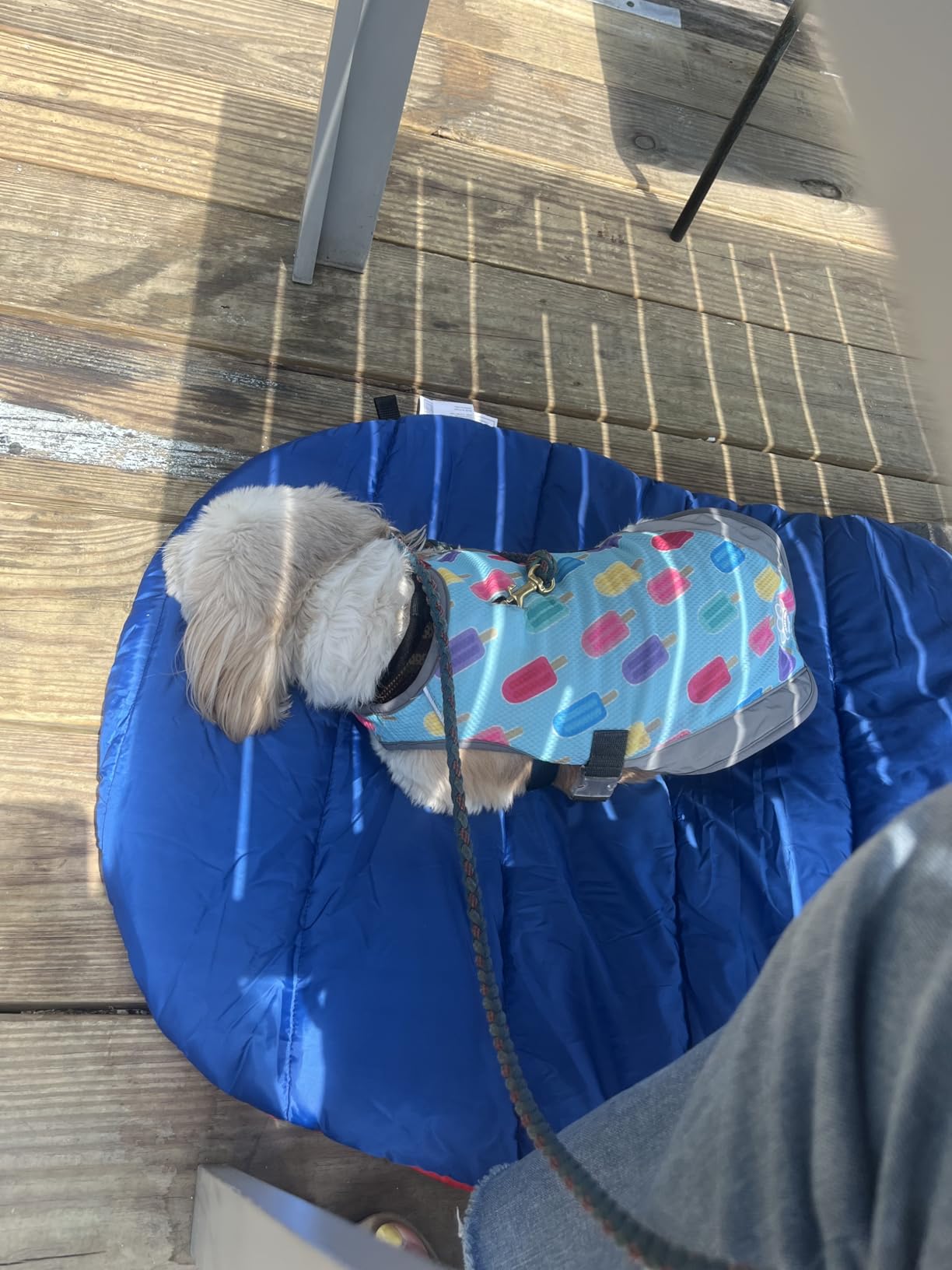 Furhaven Outdoor Travel Dog Bed for Small Dogs w/ Carry Bag, Washable & Foldable, Great for Crates & Kennels - Trail Pup Travel Pillow Mat w/ Stuff Sack Bag - Aqua/Granite Gray, Small customer photo 1