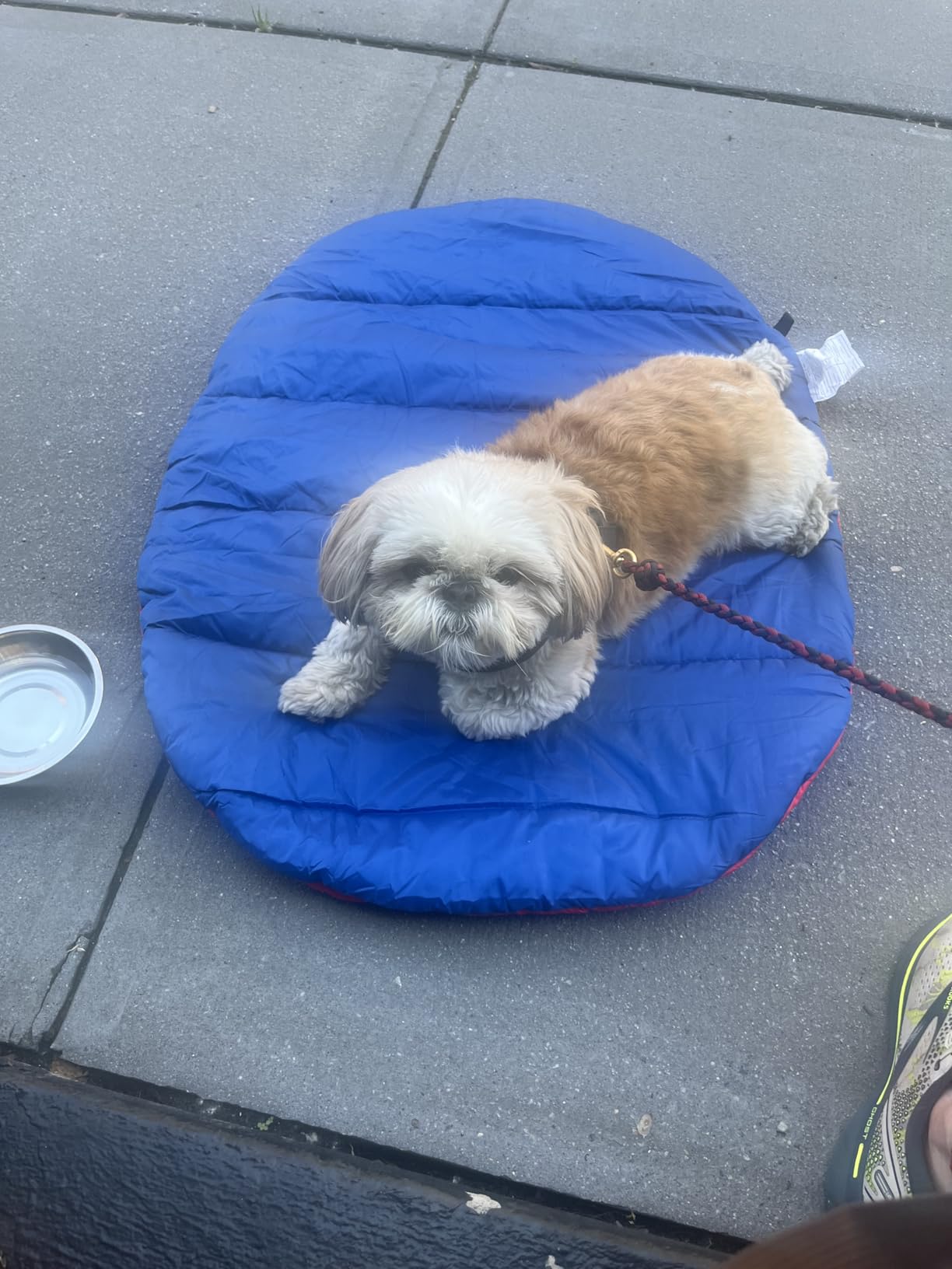 Furhaven Outdoor Travel Dog Bed for Small Dogs w/ Carry Bag, Washable & Foldable, Great for Crates & Kennels - Trail Pup Travel Pillow Mat w/ Stuff Sack Bag - Aqua/Granite Gray, Small customer photo 2
