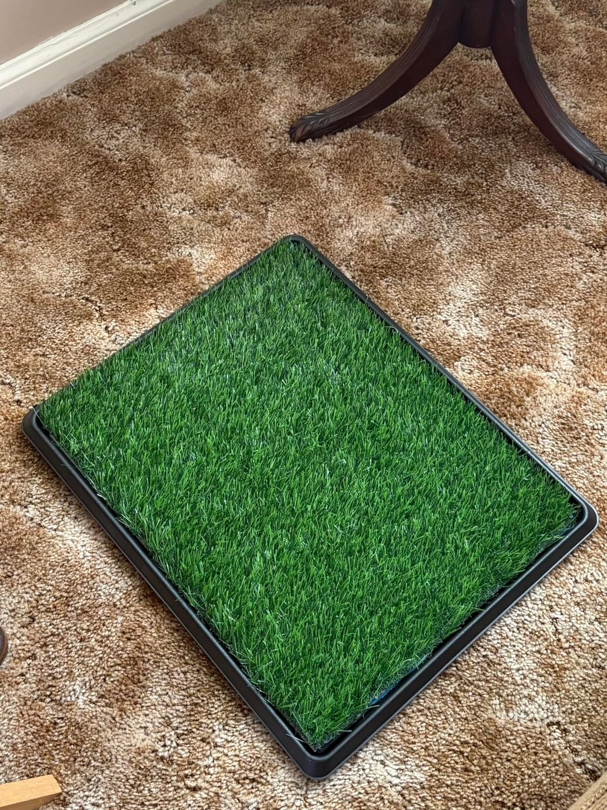 LOOBANI Dog Grass Pad with Tray - 16x20in for Apartment Balcony Use customer photo 2