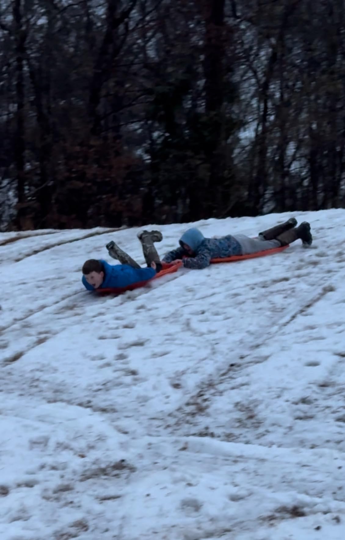 Flexible Flyer Winter Lightning Snow Sleds for Kids and Adults (3-Pack) - 48 Inch Toboggan Style Plastic Sled with Hard Bottom for Fast, Smooth Rides - 1 or 2 Riders (Blue, Green, Orange) customer photo 2