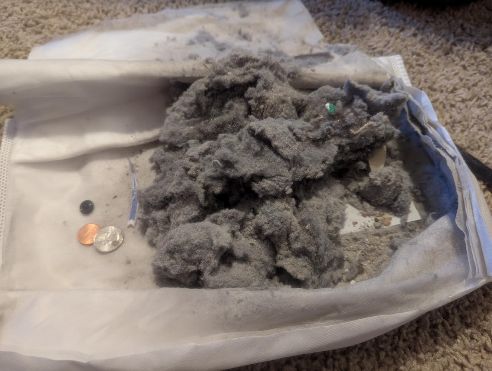 Kenmore Pet Friendly Lightweight Bagged Canister Vacuum Cleaner customer photo 2