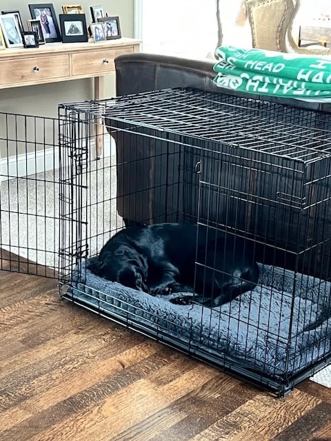 MidWest Homes for Pets Double Door 24-inch Dog Crate Kit, Bundle Includes a Two-Door Cage, Matching Gray Bed and Crate Cover, For Small Breeds customer photo 2