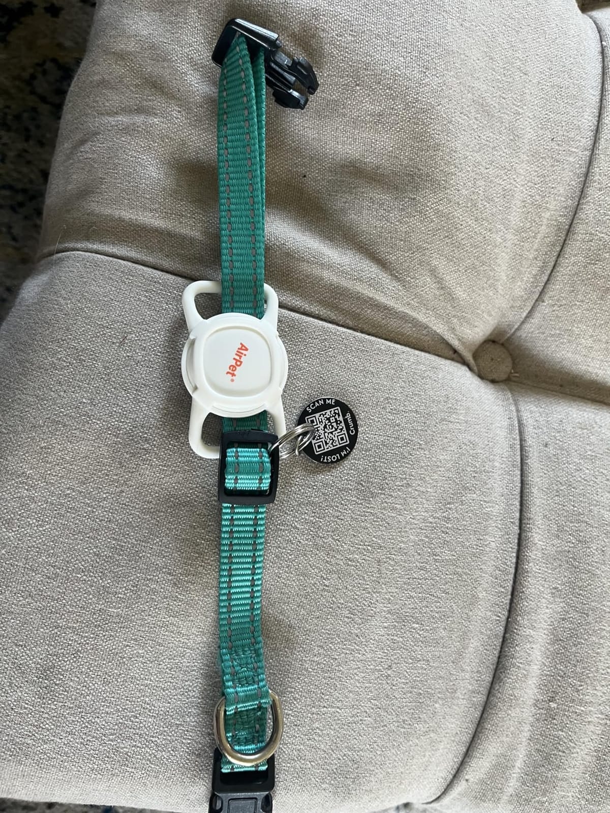 Reflective Dog Collar with Buckle Adjustable Safety Nylon Collars for Small Medium Large Dogs, Blue S customer photo 2