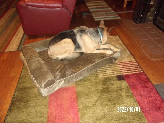 FurHaven Classic Sofa Orthopedic Dog Bed for Large Dogs, with Orthopedic Egg Crate with a Solid Orthopedic Foam Base for Joint Support, Removable Washable Cover, Large, Quilted Sofa, Iron Gray customer photo 2