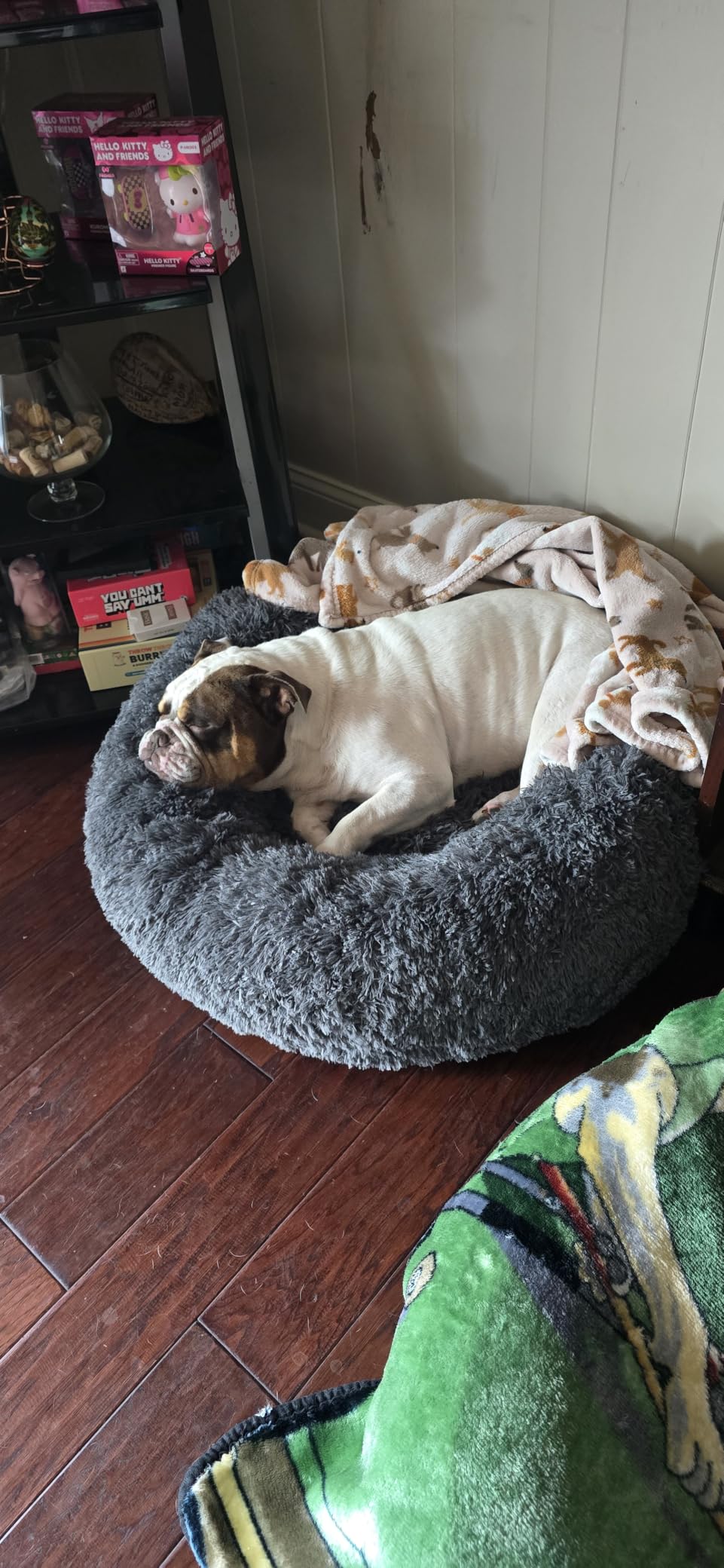 Bedsure Calming Dog Beds Large Sized Dog Donut Washable Pet Bed,36ins Camel | Oprah Daily Award,Fluffy Faux Fur Round Cuddler,Removable Washable Cover,Anti-Slip Bottom,Anti-Anxiety,Up to 80 Lbs customer photo 1