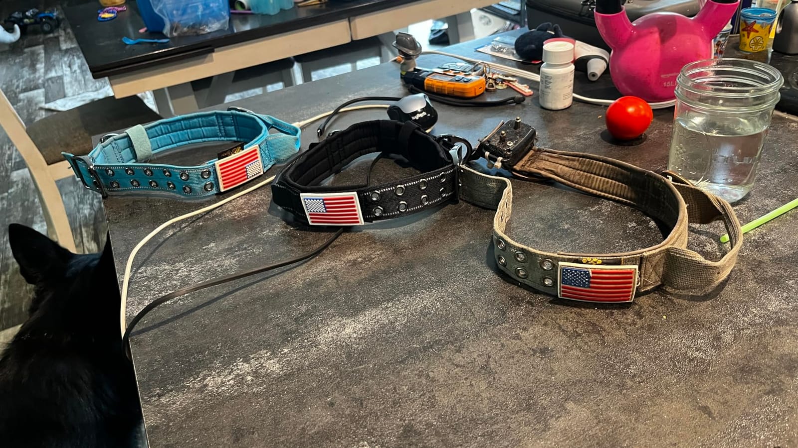 ADITYNA Heavy Duty Dog Collar for Large Dogs with Traffic Handle customer photo 1