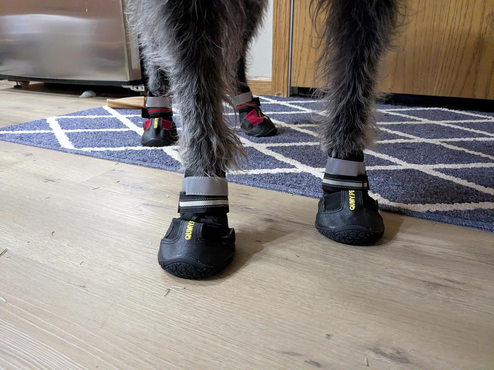 QUMY Dog Shoes for Hot Pavement, Dog Snow Boots & Paw Protectors for Winter customer photo 1
