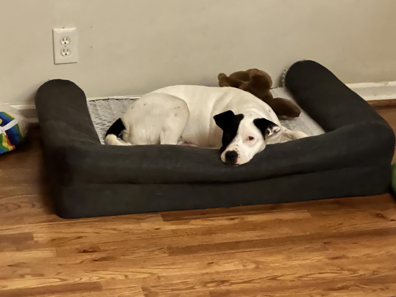 FurHaven Orthopedic Dog Bed For Large Dogs, Sofa Contour Mattress with Solid Orthopedic Foam Slab for Joint Support, Removable Washable Cover, Jumbo Plus XXL, Faux Fur, Charcoal customer photo 1