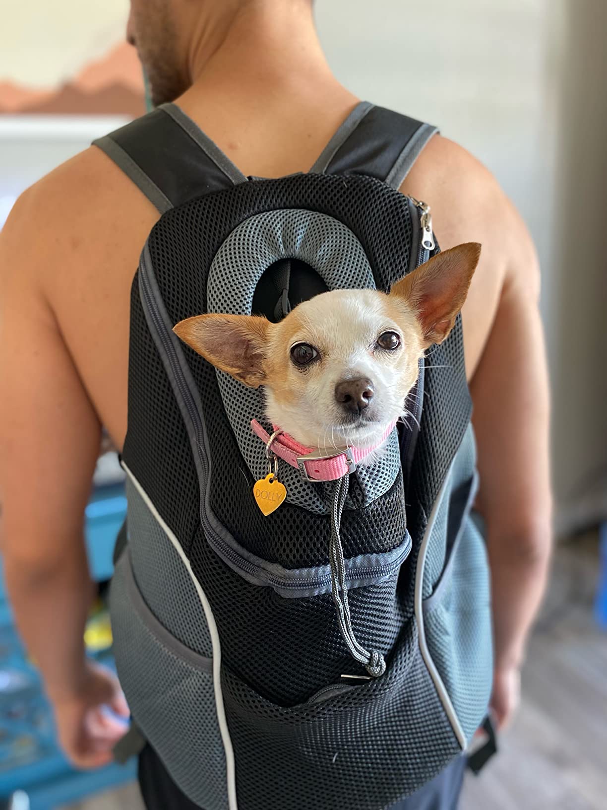 YUDODO Dog Front Carrier Backpack, Adjustable Breathable Dog Backpack customer photo 1