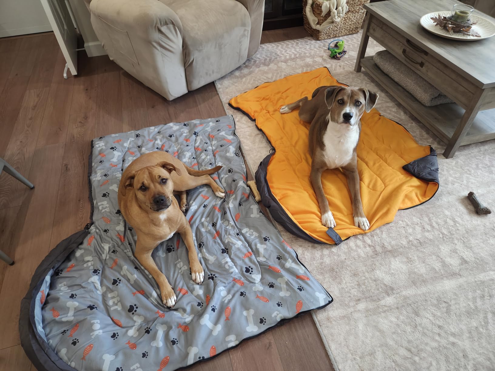 Waterproof Dog Sleeping Bag, Warm Insulated Packable Pet Bed Mat with Anti-Slip Bottom & Storage Bag, Tear-Resistant Portable Dog Bed for Indoor Car Travel Camping Hiking Backpacking (Bone,L) customer photo 1
