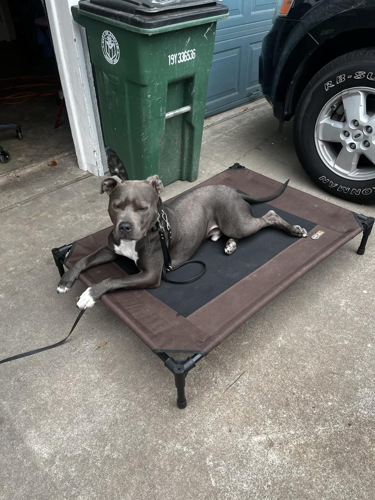 K&H Outdoor Elevated Dog Bed, Cooling Raised Dog Bed, Large 42x30in, Tan customer photo 1