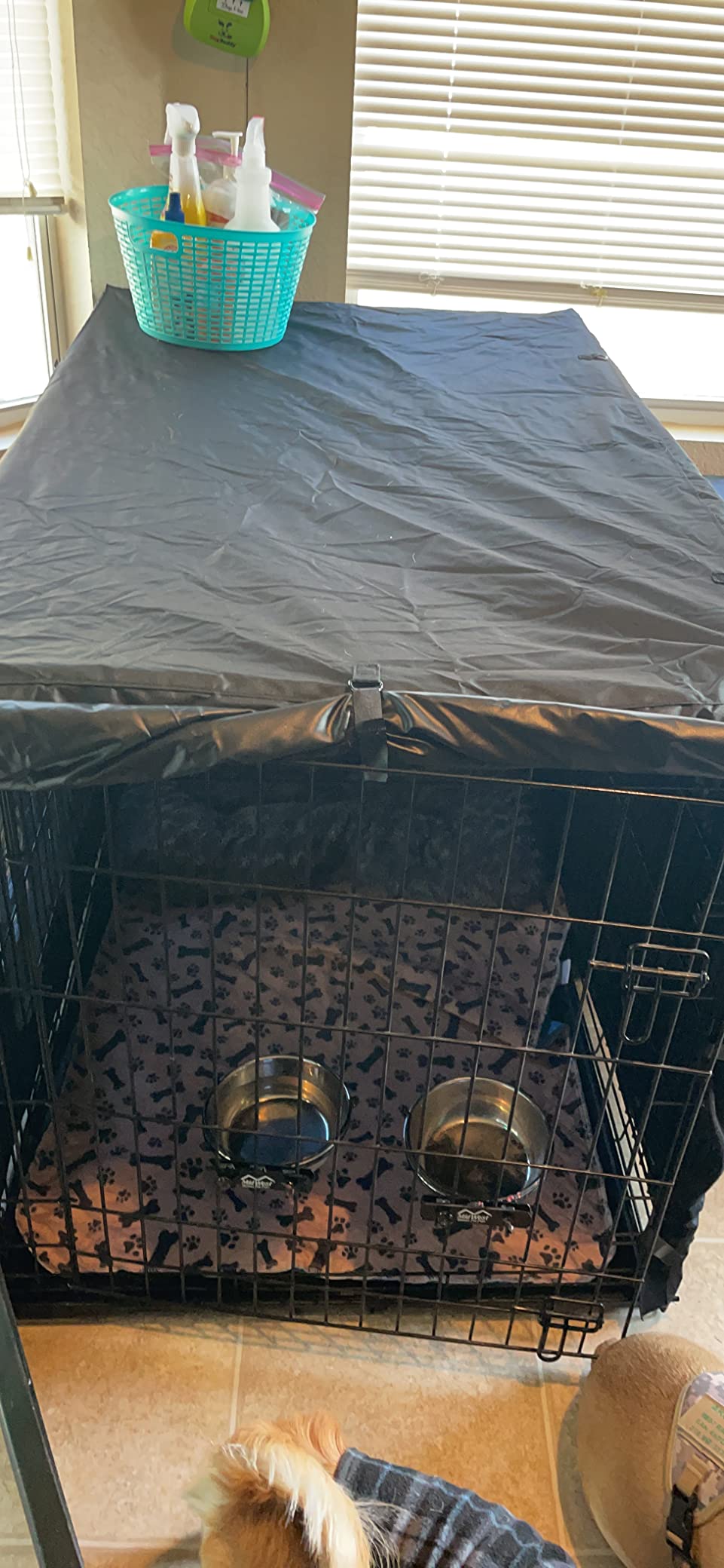 Dog Crate Cover, Double Door Breathable Crate Cover, 24 inches, Black customer photo 1
