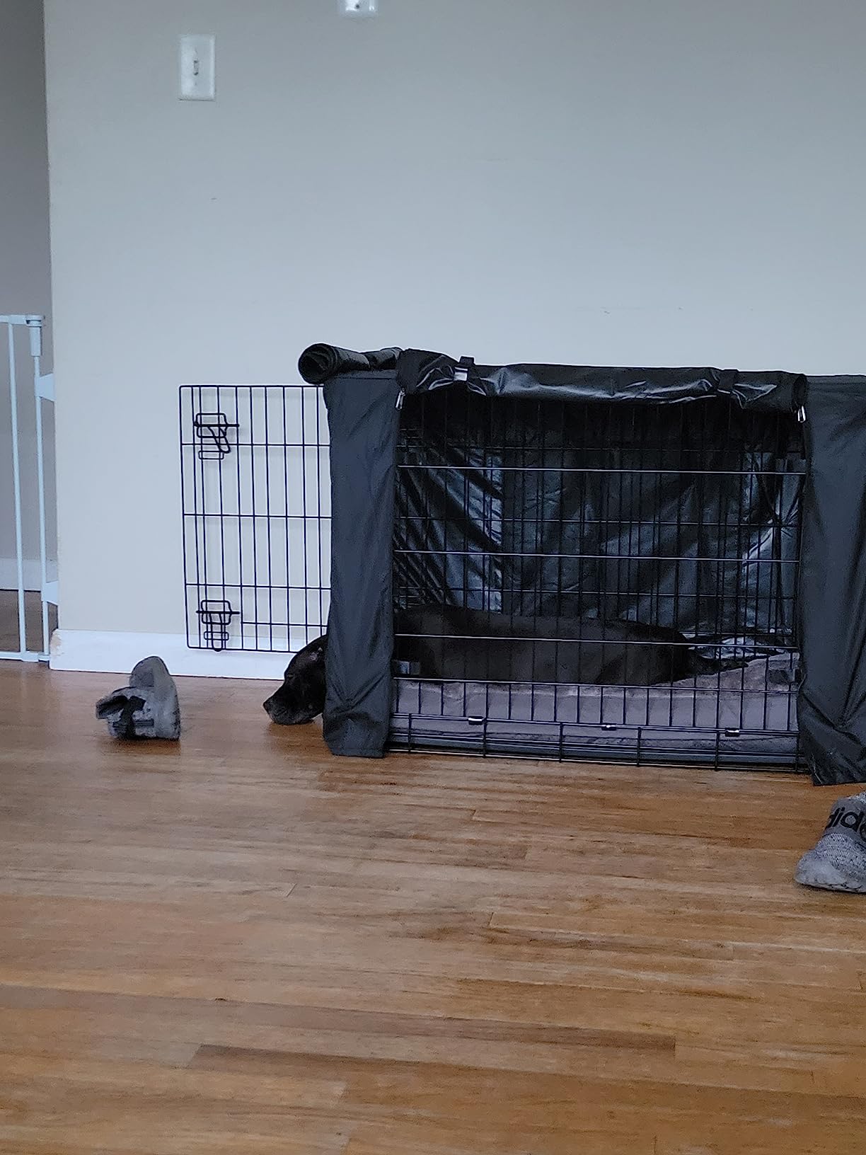 Dog Crate Cover, Double Door Breathable Crate Cover, 24 inches, Black customer photo 2