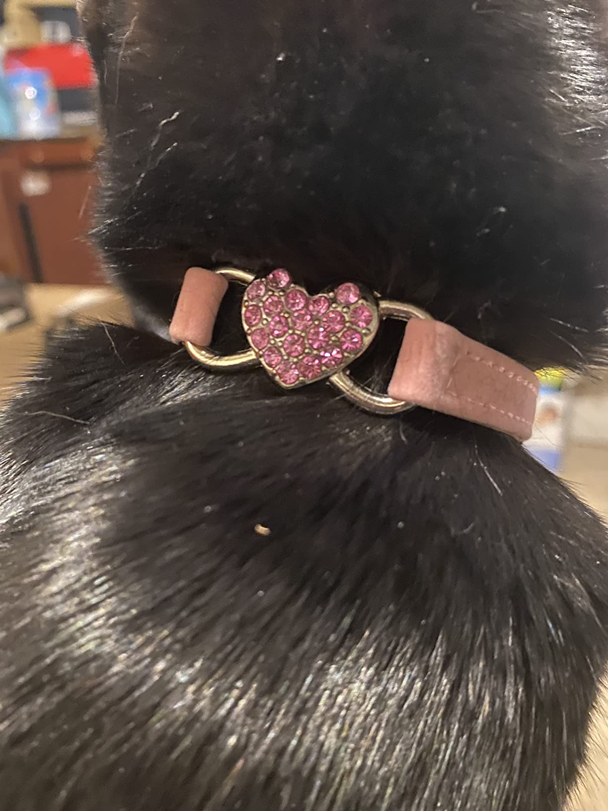 Heart Bling Cat Collar with Safety Belt and Bell 8-10 inches (Pink) customer photo 2