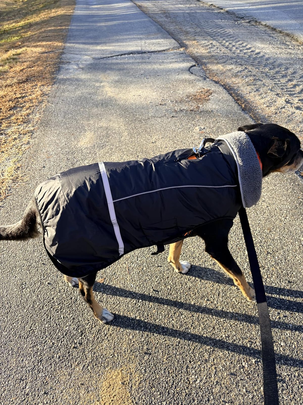 Dogcheer Dog Coat for Medium Dogs, Waterproof Dog Jacket for Cold Weather customer photo 2