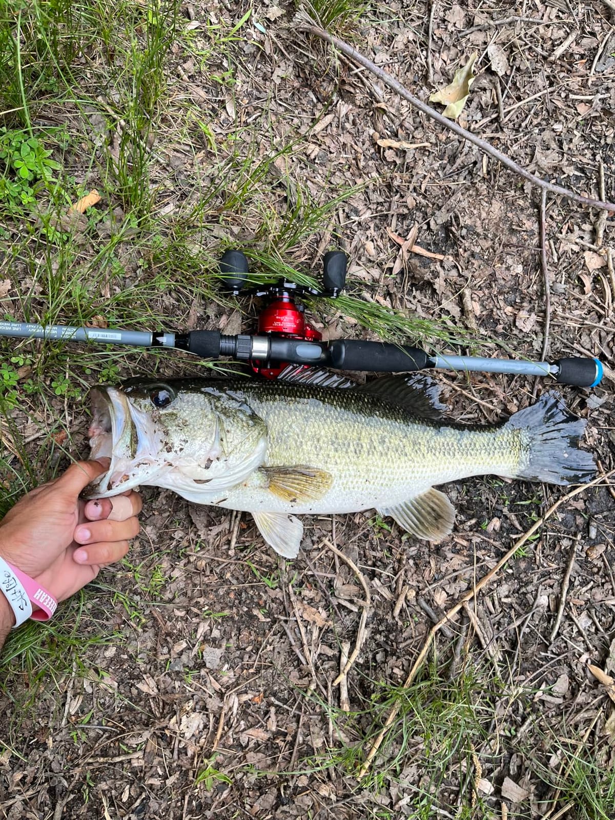 KastKing Spartacus II Baitcasting Fishing Reels with 7.2:1 Gear Ratio customer photo 1
