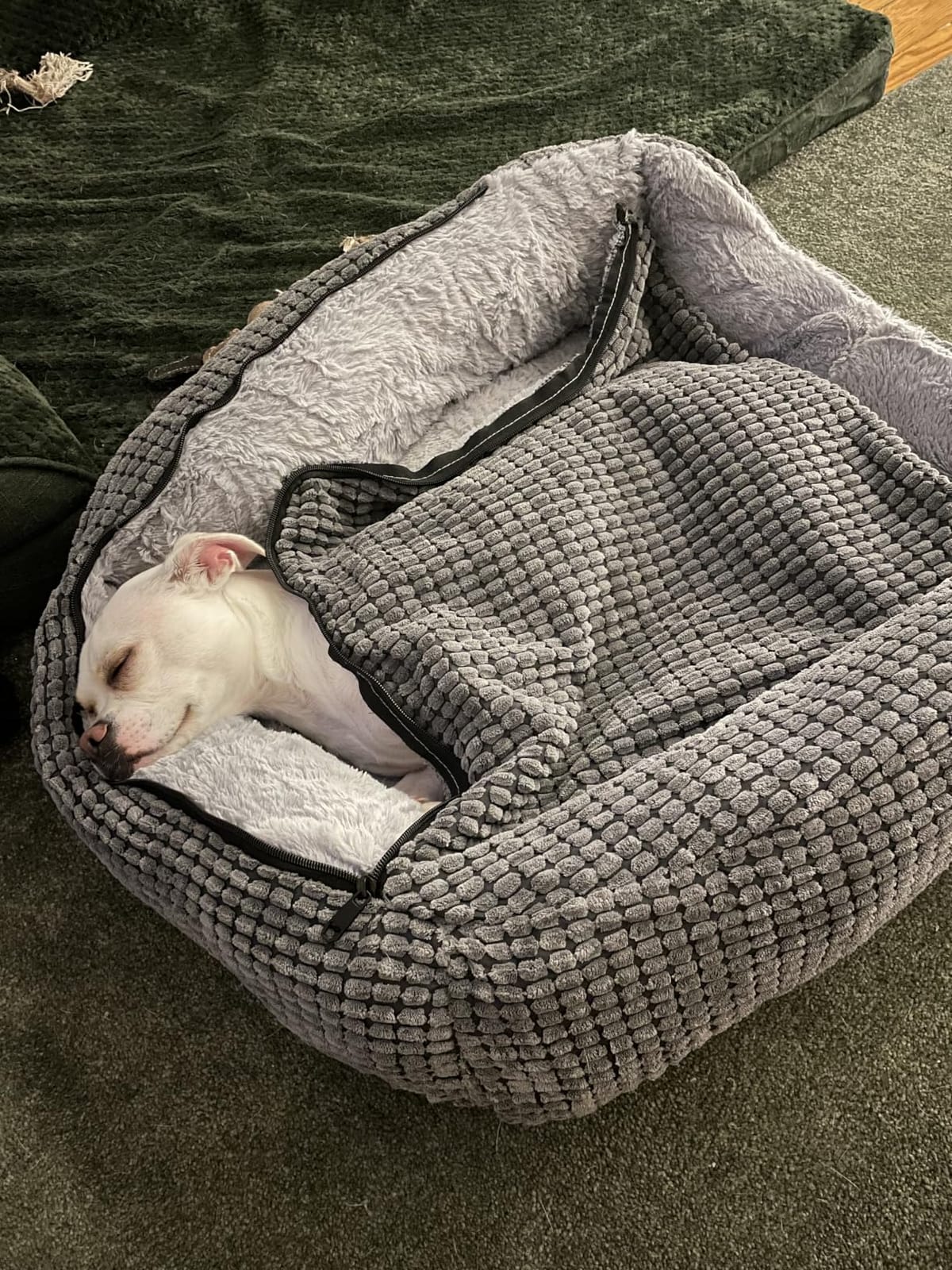 GASUR Dog Beds for Large Medium Small Dogs, Rectangle Cave Hooded Blanket Puppy Bed, Luxury Anti-Anxiety Orthopedic Cat Beds for Indoor Cats, Warmth and Machine Washable (25 inches, Grey) customer photo 2