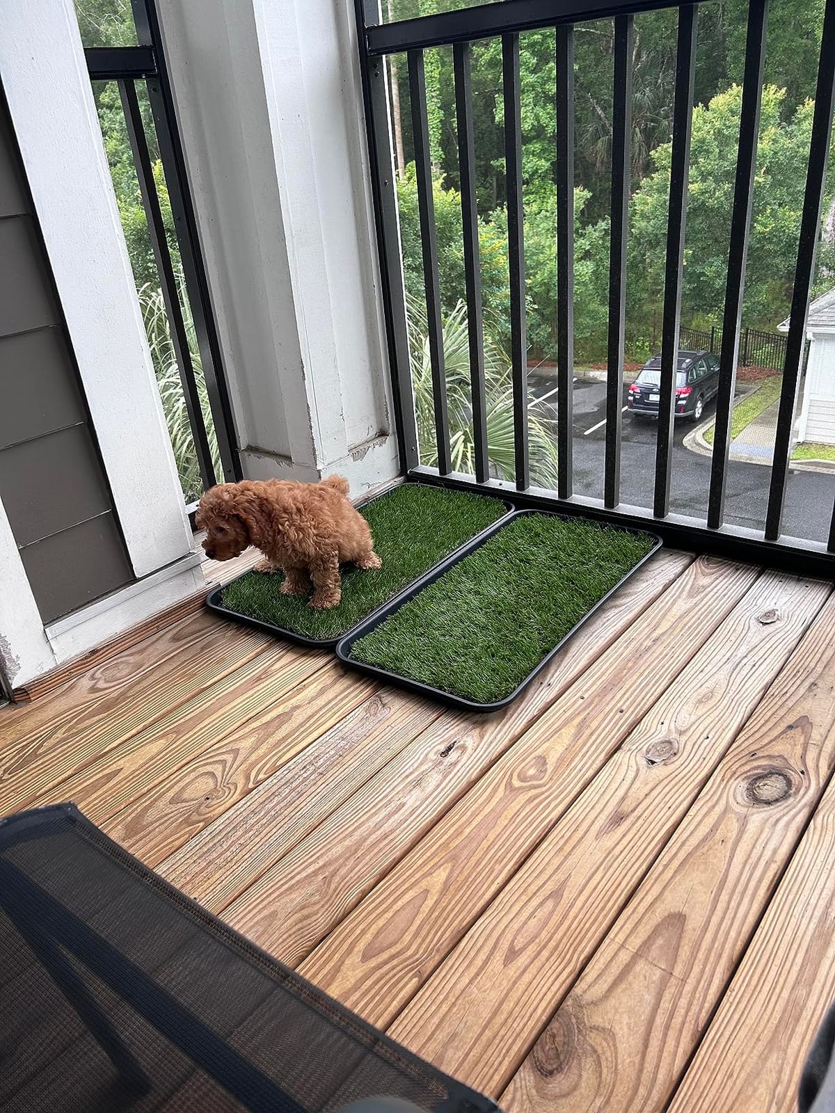 Grass Pad with Tray 20