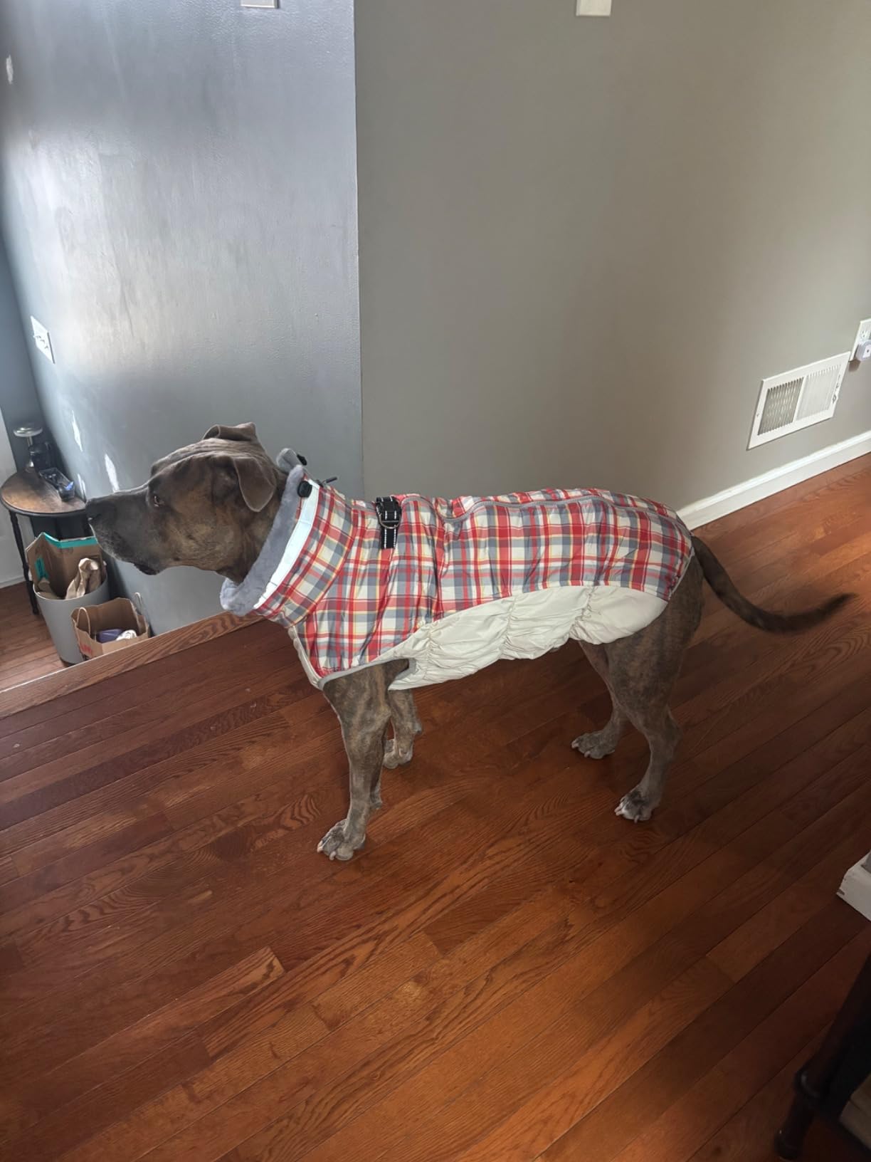 FUAMEY Dog Coat for Medium Dogs, Fleece Dog Winter Jacket with Harness customer photo 2