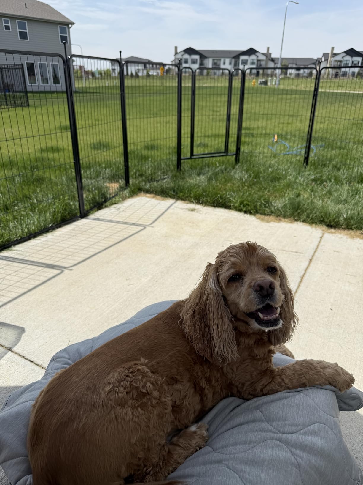 Dog Playpen, 40 inch 8 Panels Dog Fence Outdoor Heavy Duty Dog Pen for Large/Medium/Small Dogs, Indoor Puppy Playpen with Door Portable Pet Fence for RV Camping, Yard customer photo 1