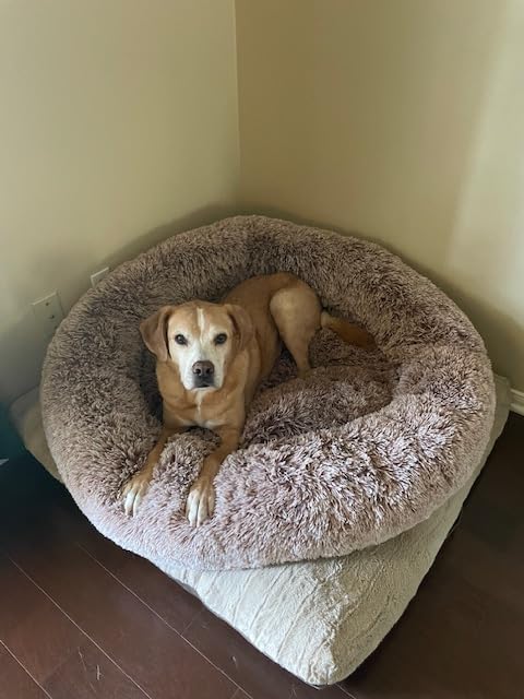 Bedfolks Calming Fluffy Donut Dog Bed for Large Dogs,Dark Grey, 36