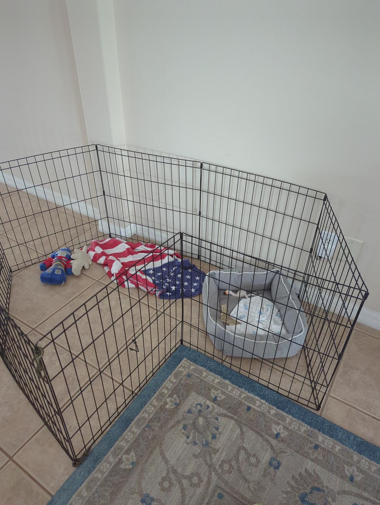 New World by MidWest 18-Inch Exercise Pen, No Door, 16 Sq Ft Play Area customer photo 1