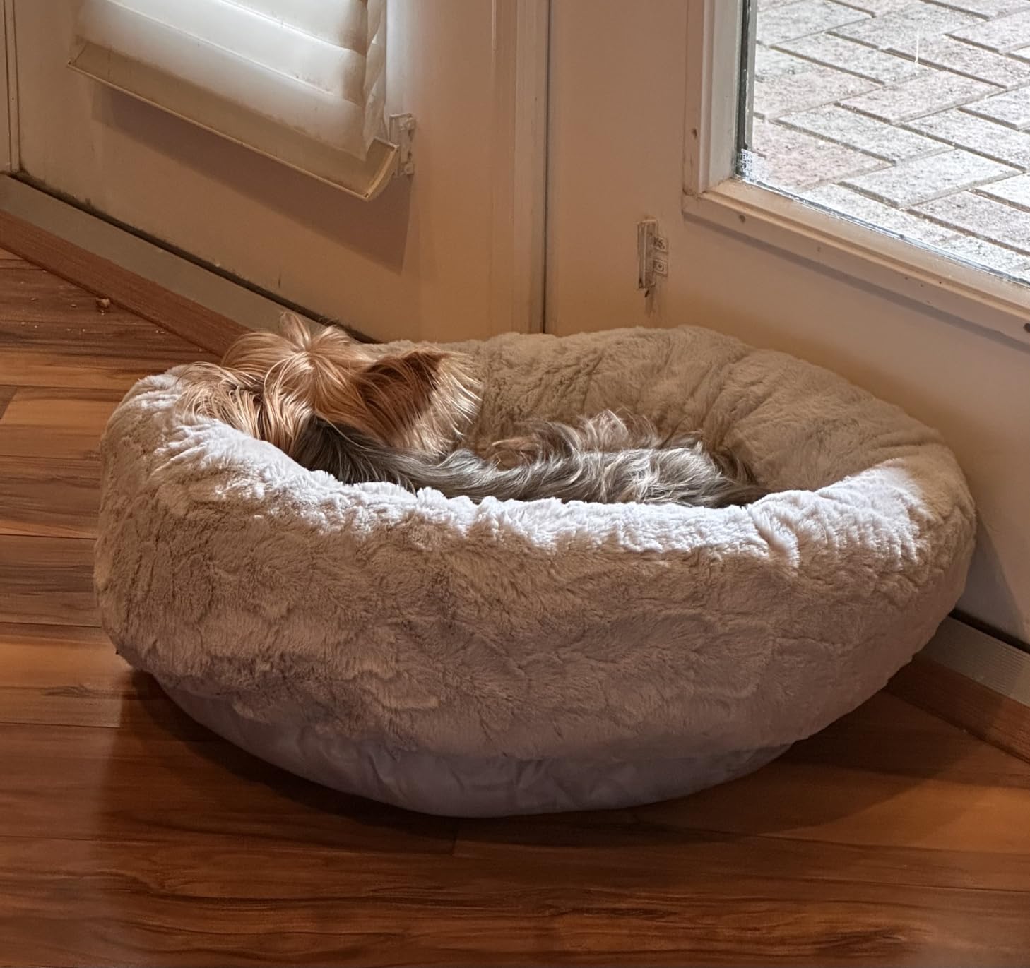Best Friends by Sheri Original Calming Donut Dog Bed, Oyster, Medium, 30