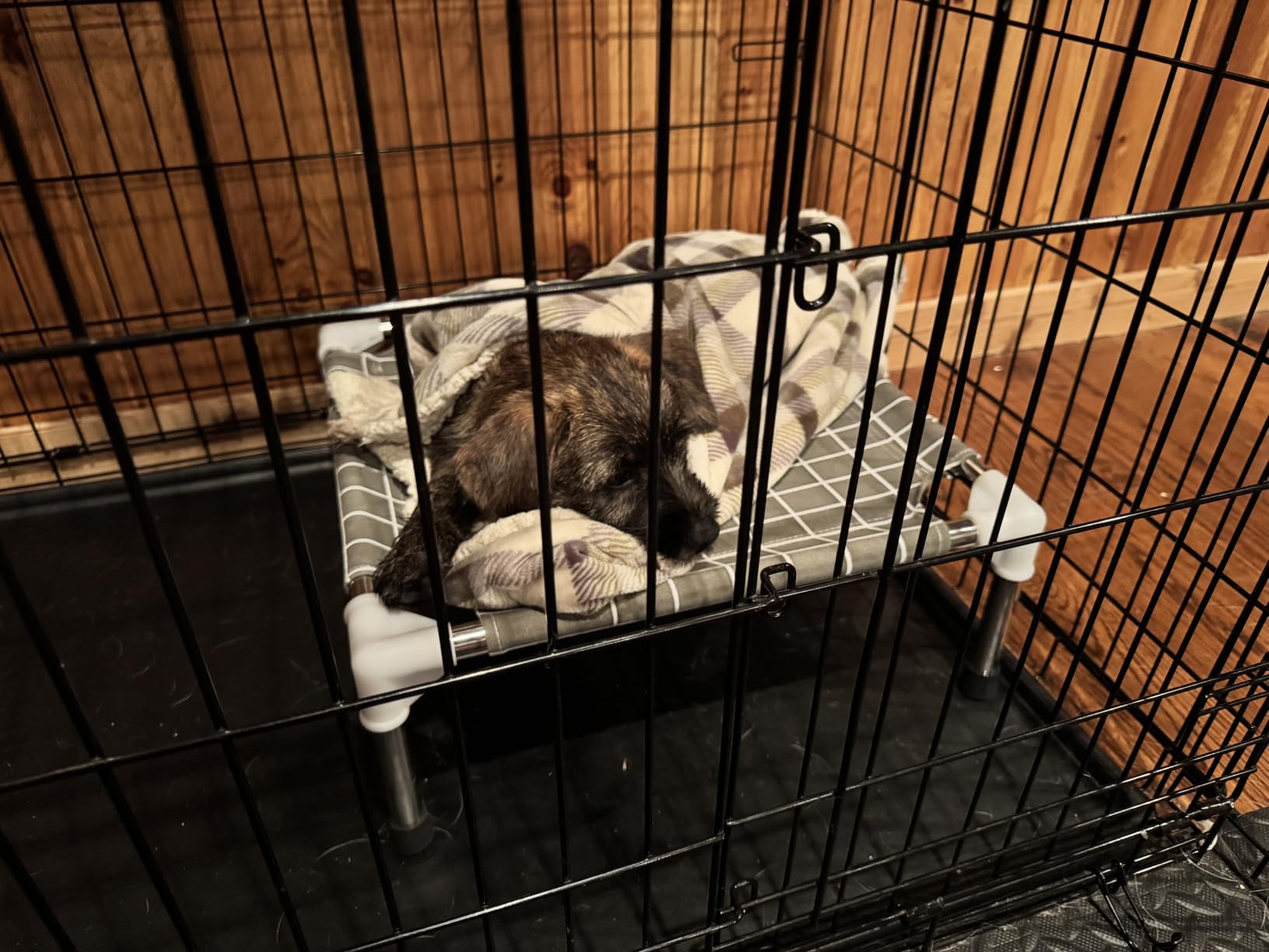 Elevated Pet Bed Dog Cot- Raised Pet Bed for Small Dogs customer photo 1