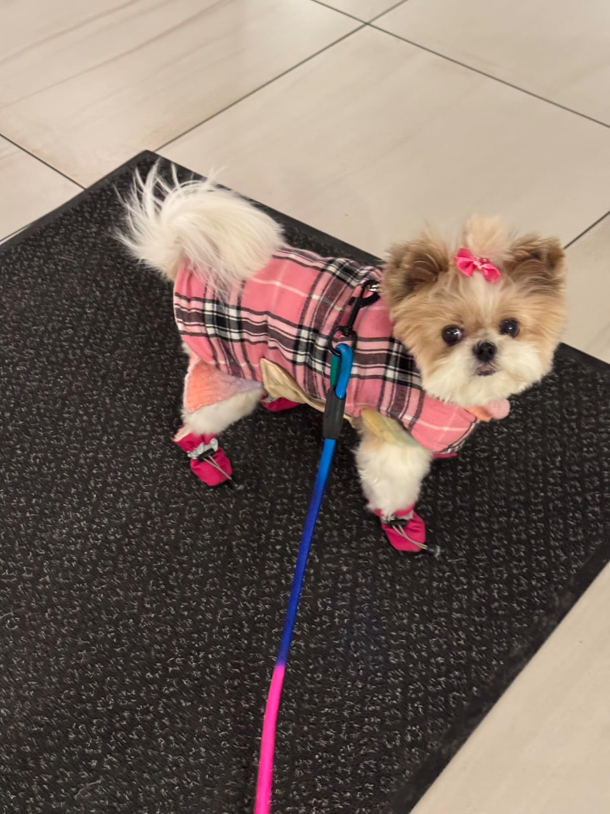 Dog Boots Dog Snow Boots for Winter Dogs Boots & Paw Protector Warm Dog Booties for Puppy with Reflective Strip Dog Shoes for Small Medium Size Dogs 4PCs Pink Size4 customer photo 2