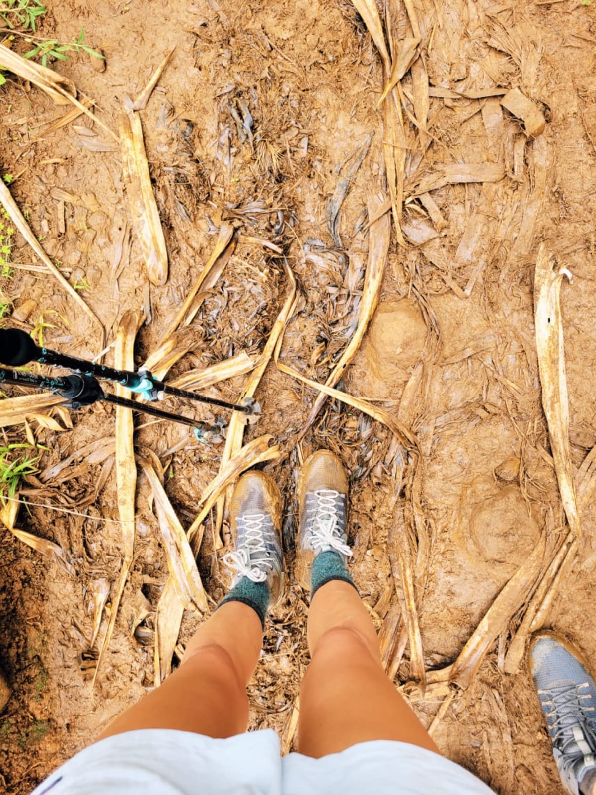 Columbia Women's Trailstorm Ascend Mid Waterproof customer photo 2