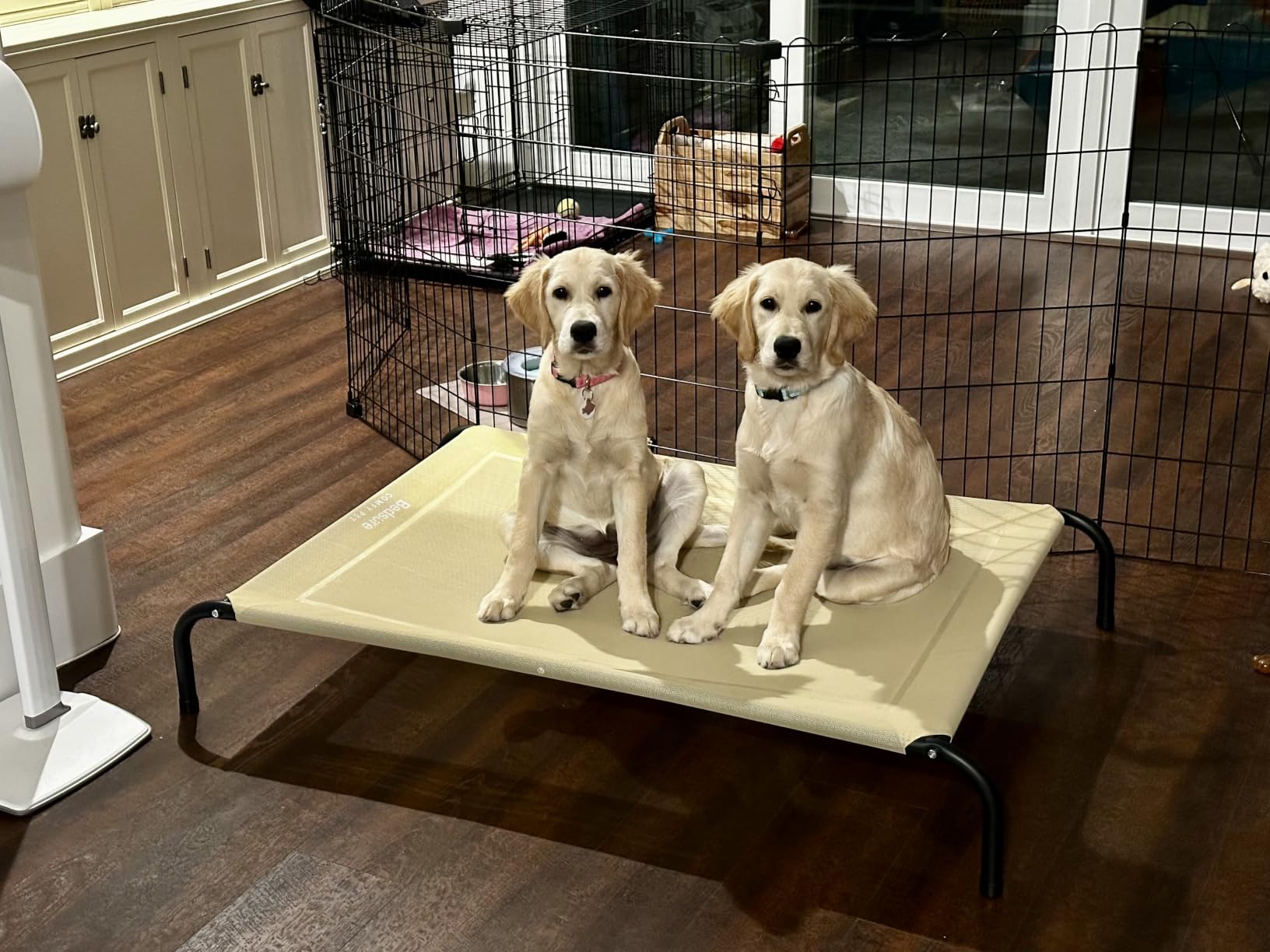 Bedsure Outdoor Elevated Cooling XL Dog Bed for Extra Large Dog, 54in Grey customer photo 1