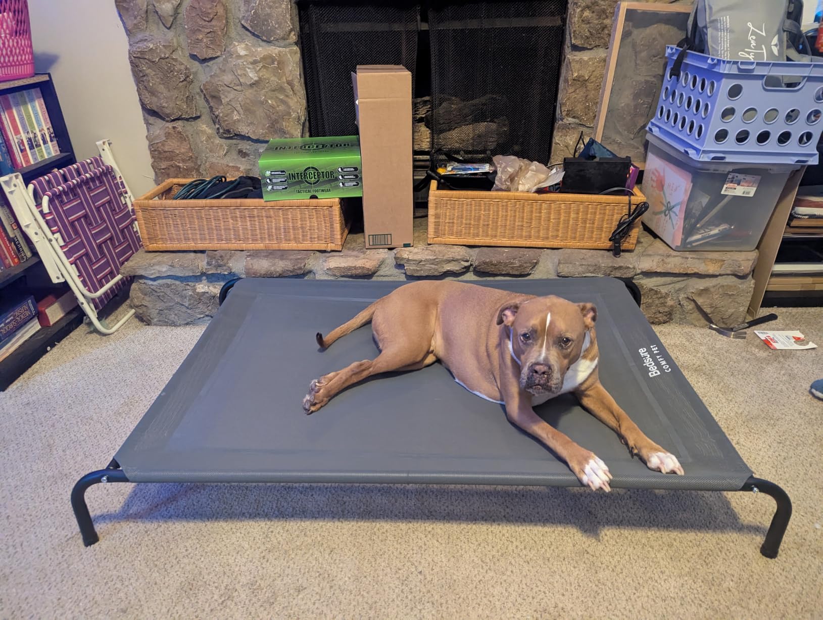 Bedsure Outdoor Elevated Cooling XL Dog Bed for Extra Large Dog, 54in Grey customer photo 2