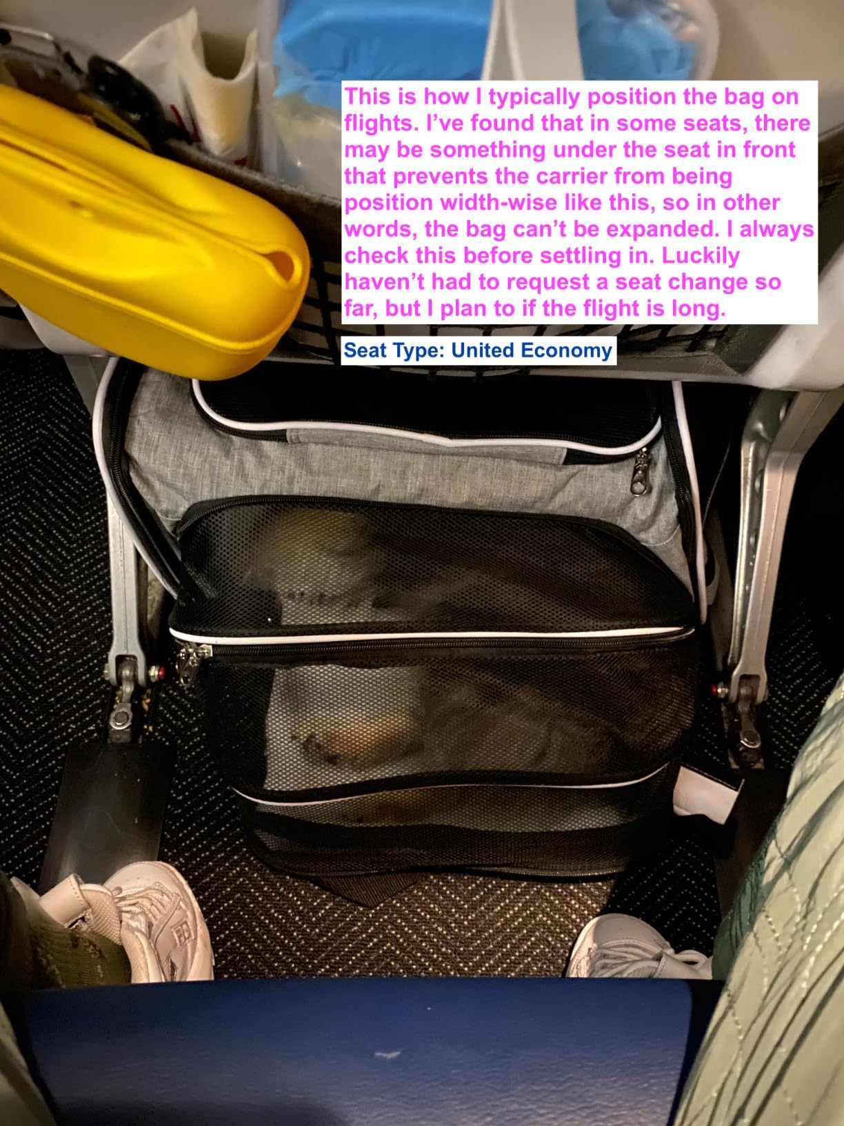 Ruff Life 101 Airline Approved Expandable Premium Pet Carrier on Wheels- Two Sided Expandable Rolling Carrier- Designed for Dogs & Cats- Extra Spacious Soft Lined Carrier! (Grey) customer photo 2