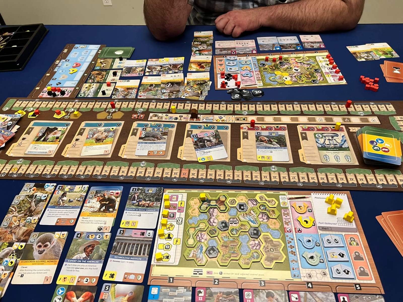 Capstone Games Ark Nova Zoo Management Strategy Board Game for 1-4 Players customer photo 1