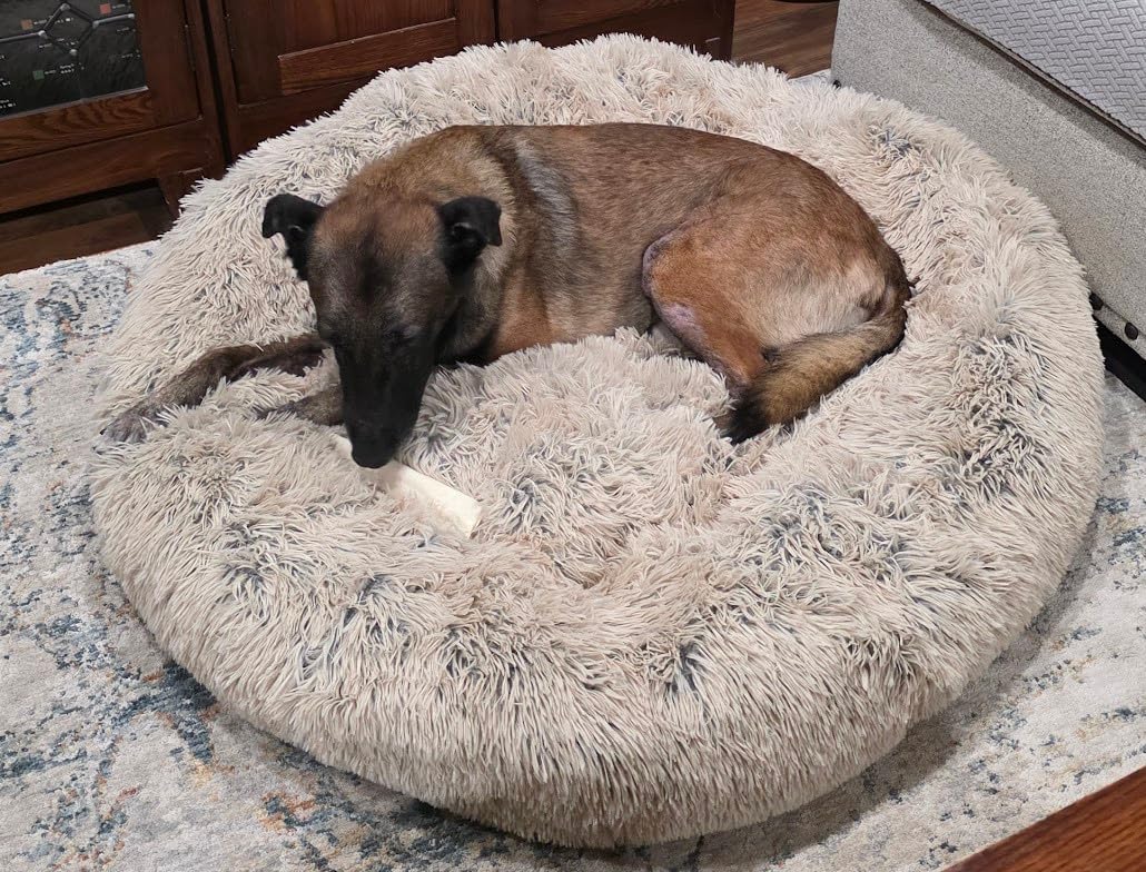 SAVFOX 36 inches Calming Donut Dog Bed - 3X Durable Plush Faux Fur, Machine Washable & Non-Slip, Fits up to 100 lbs, Light Grey customer photo 1