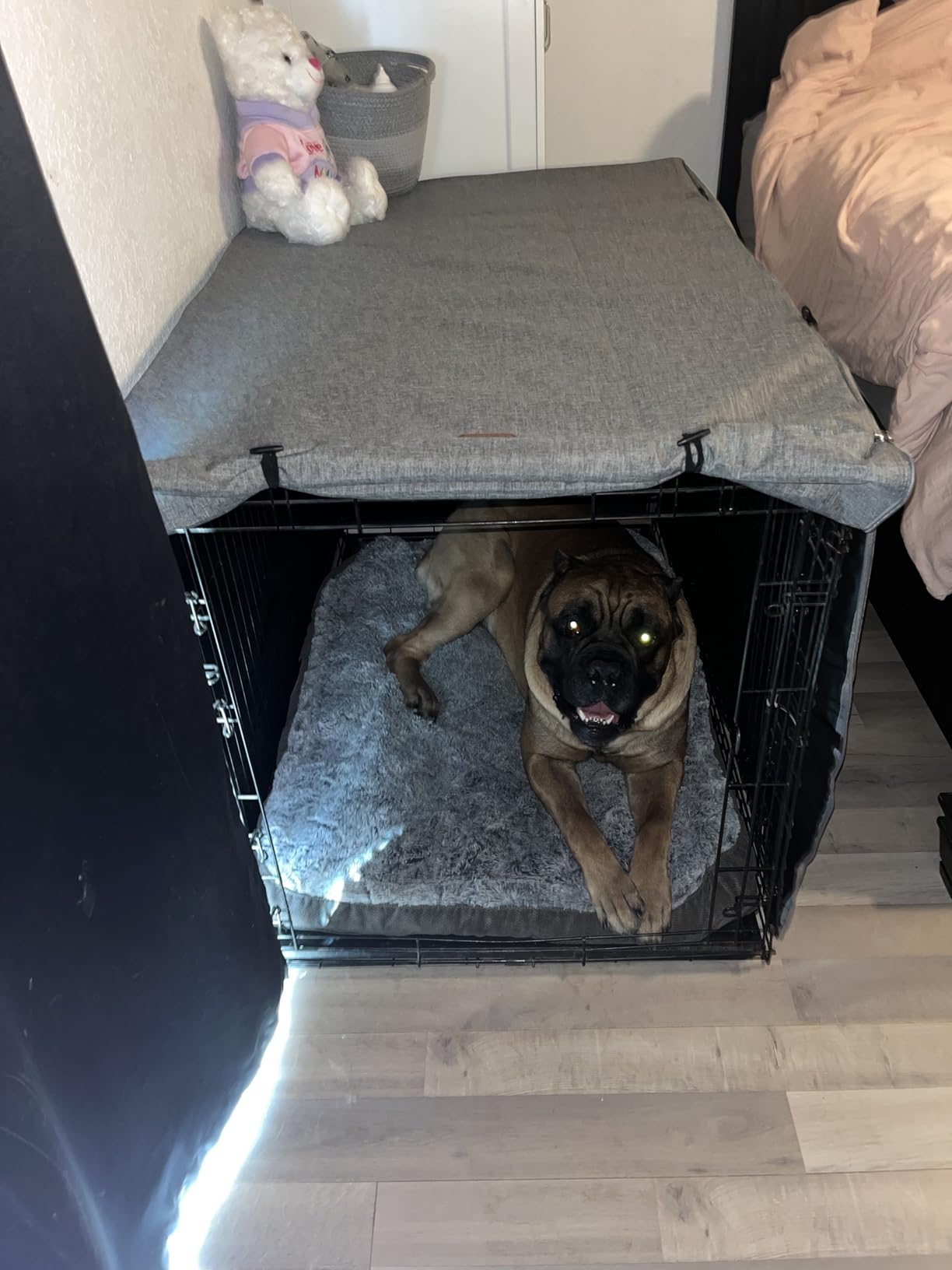 Seiyierr Dog Crate Cover - Kennel Covers Fit for 24 Inch Dogs Crate, Double Door Polyester for Wire Puppy Cage Indoor Outdoor Protection, Grey customer photo 2