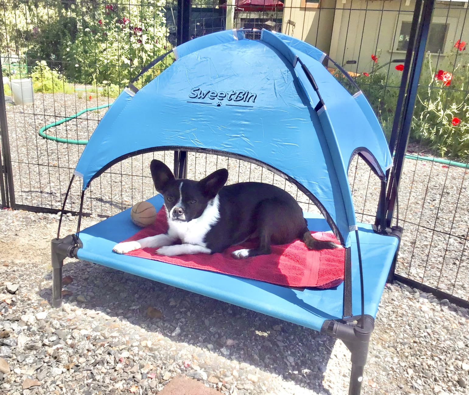 Outdoor Dog Bed with Canopy & Side Shade, Blue (Dogs Under 80 lbs) customer photo 2
