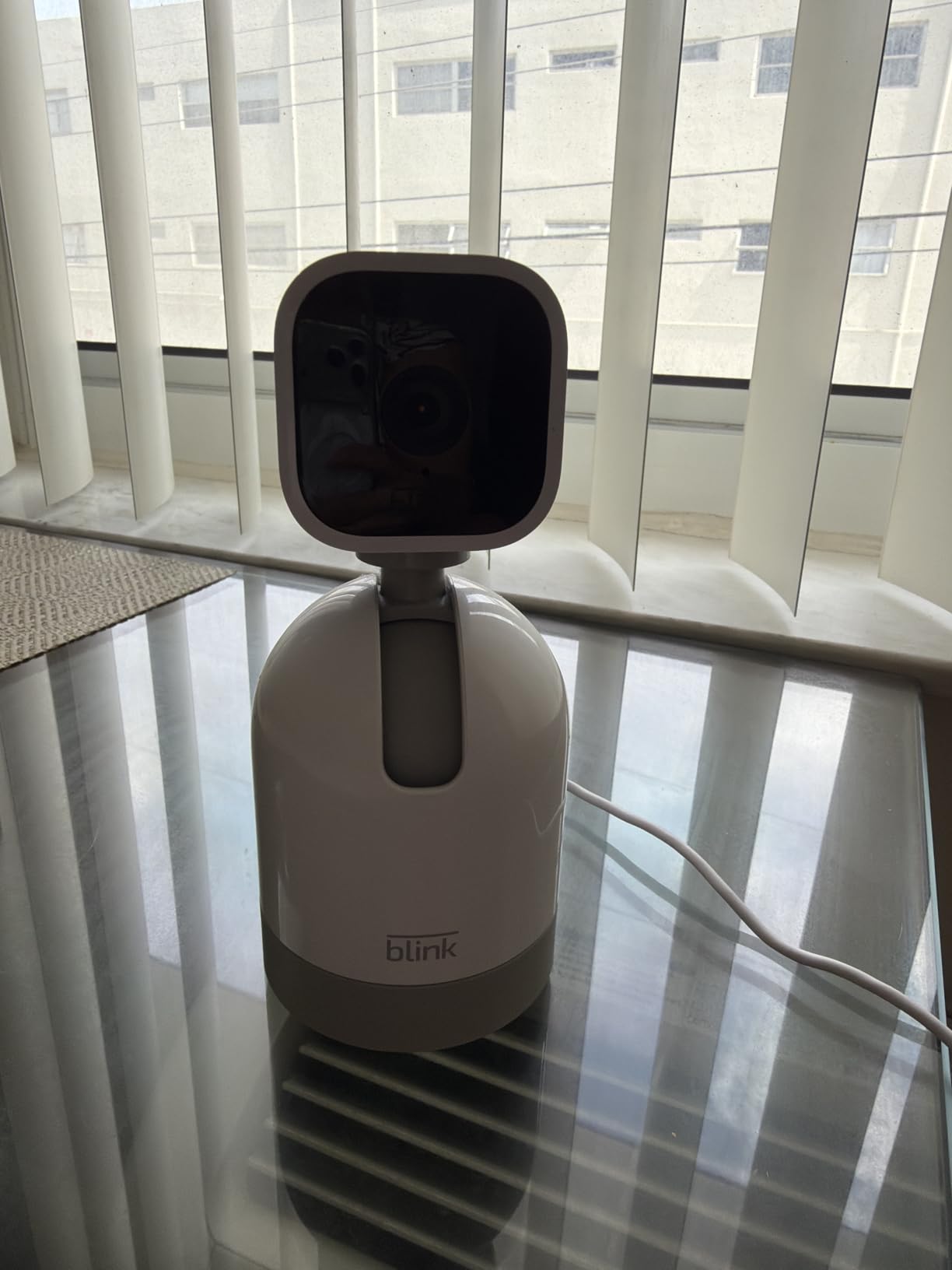 Blink Mini Pan-Tilt Camera (newest model), Rotating indoor plug-in smart security camera, two-way audio, HD video, motion detection, Works with Alexa (Black) customer photo 2