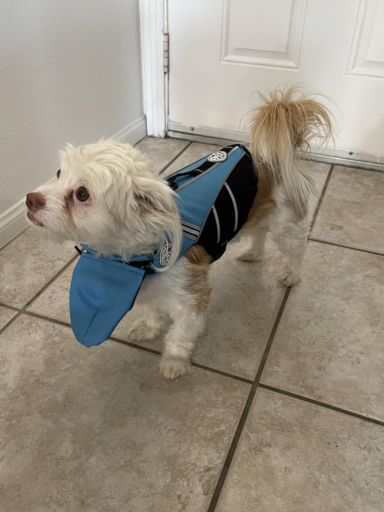 Mklhgty Dog Life Jacket, Reflective Dog Life Vest with Removable Neck Float High Buoyancy for Swimming and Boating, Ripstop Pet Safety Swimsuit Rescue Handle for Small Medium Large Dogs customer photo 2