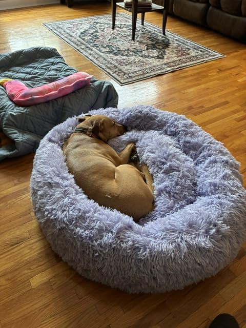 Best Friends by Sheri Original Calming Donut Dog Bed, Gray, Large, 36