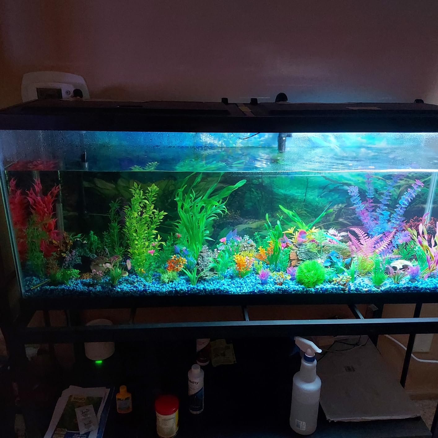 Tetra Complete 29 Gallon Fish Tank Kit for Freshwater & Saltwater Fish customer photo 2