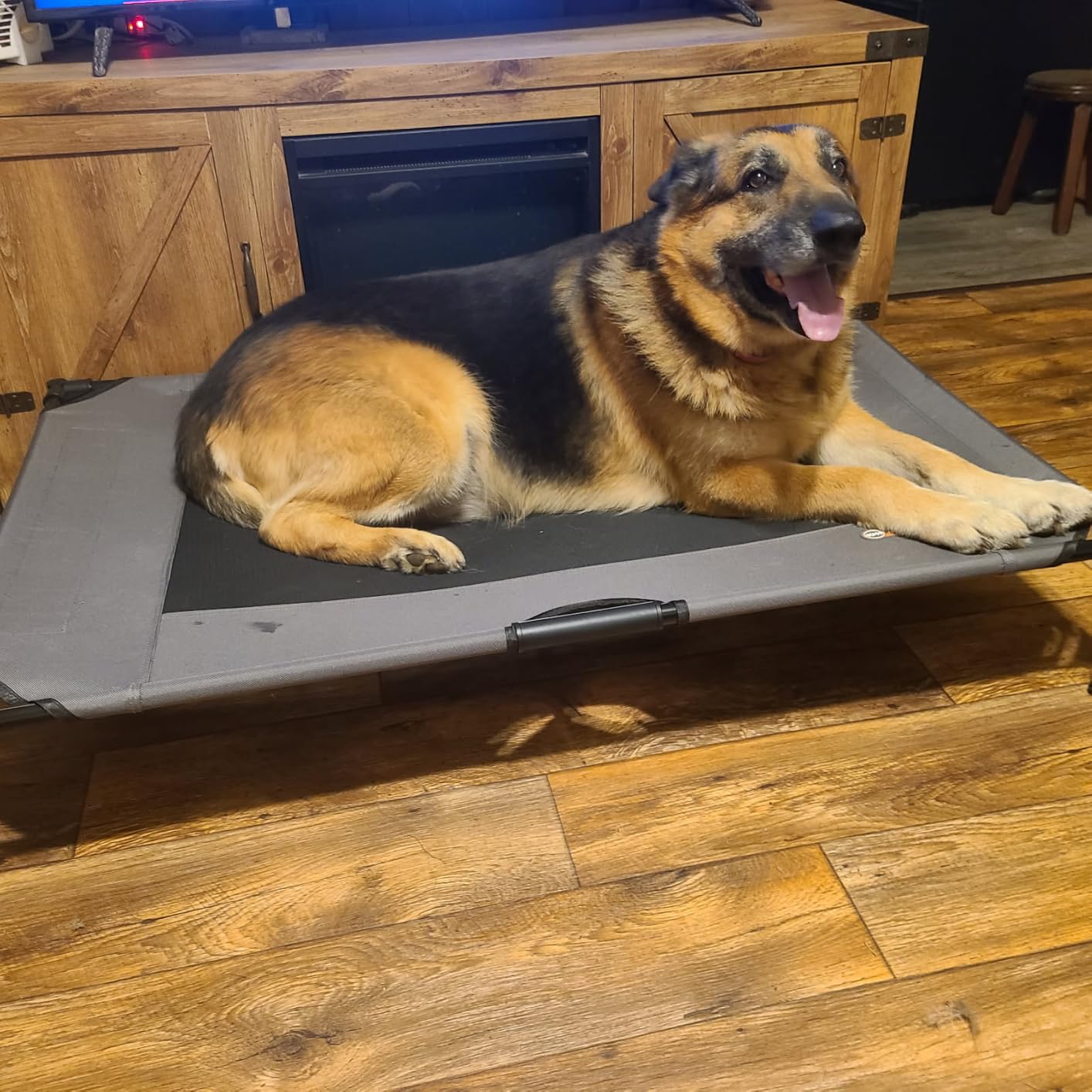 K&H Outdoor Elevated Dog Bed, Cooling Raised Dog Bed, Charcoal, XL 50x32in customer photo 1