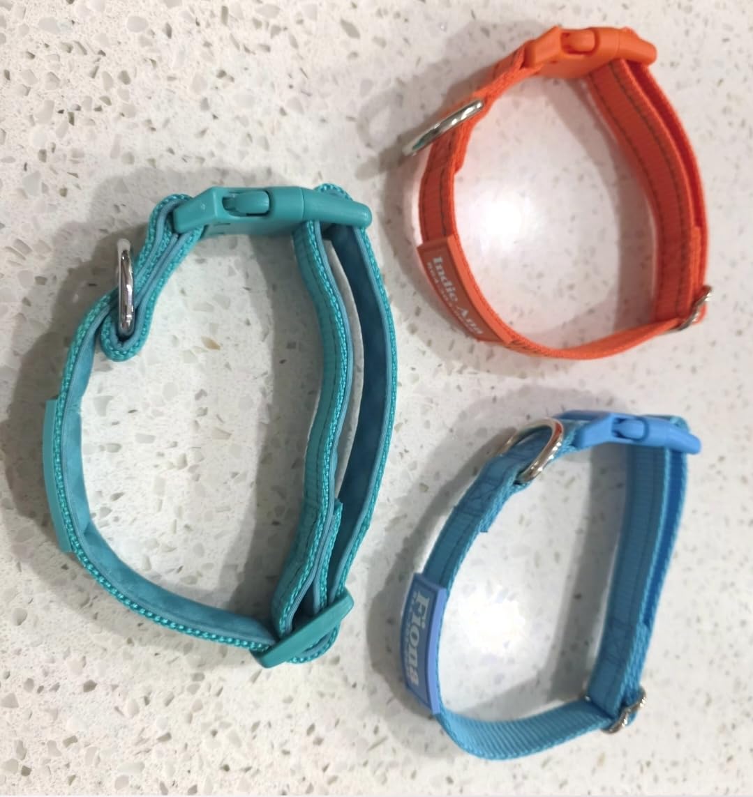 Personalized Dog Collars - Reflective Nylon Collar Customized with Name and Phone Number Adjustable Sizes for Small Dogs, Medium, Large 4 Colors Male Female boy Girl Puppies customer photo 2