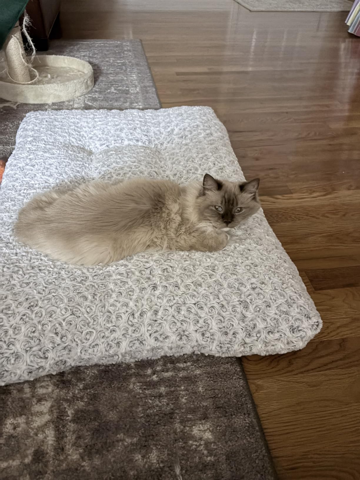 KSIIA Washable Dog Bed Small Dog Crate Bed Plush Pet Mat 23