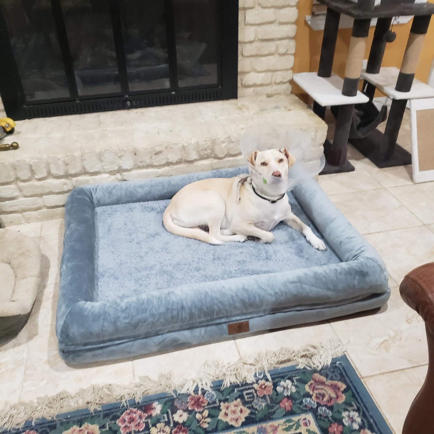 XL Orthopedic Waterproof Dog Bed for Extra Large Size Dogs customer photo 2