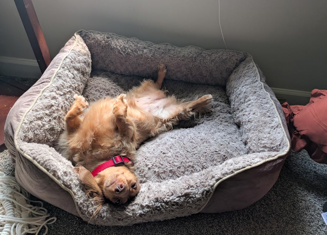 INVENHO Rectangle Washable Orthopedic Dog Bed for Small, Medium and Large Dogs, Soft Calming, Sleeping Puppy Bed Durable Pet Cuddler with Anti-Slip Bottom, S (20
