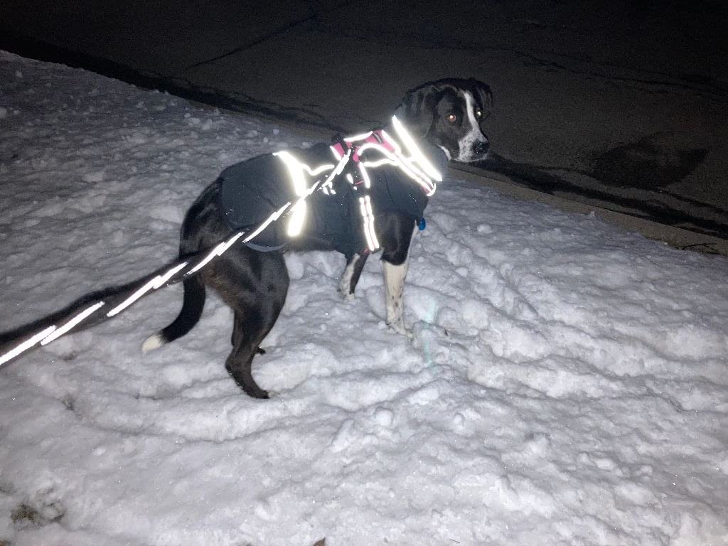 QBLEEV Warm Dog Coat, Reflective Dog Jacket, Waterproof Dogs Winter Coat customer photo 2